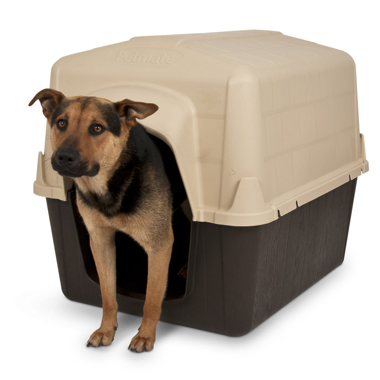 Tucker Murphy Pet™ Aurora Petbarn 3 Dog House & Reviews Wayfair